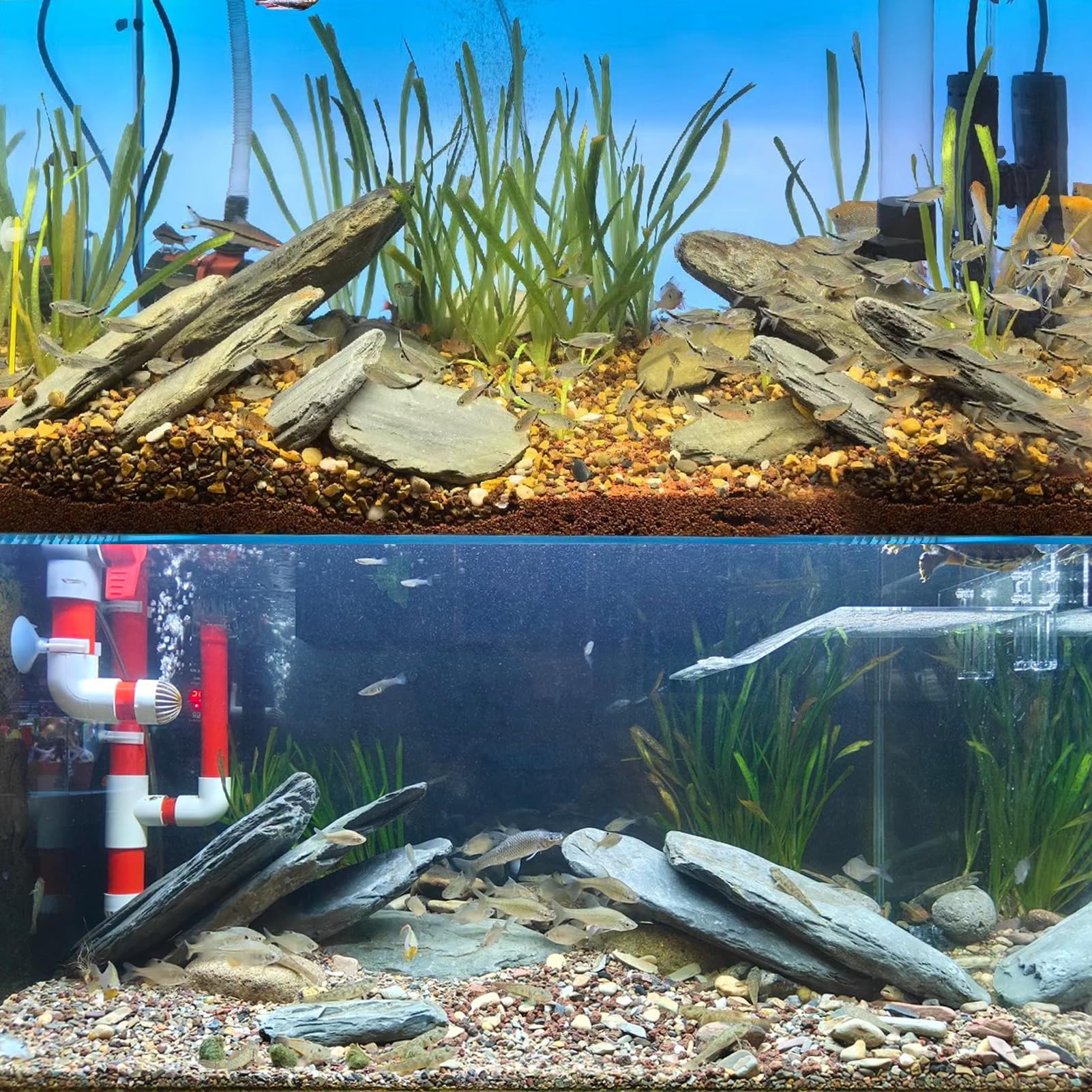 KingRUI turtle tank rocks provide stable basking platforms for turtles