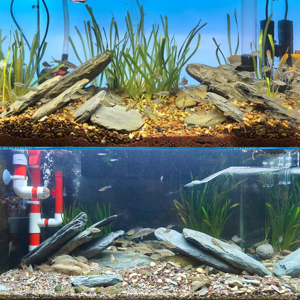 KingRUI turtle tank rocks provide stable basking platforms for turtles