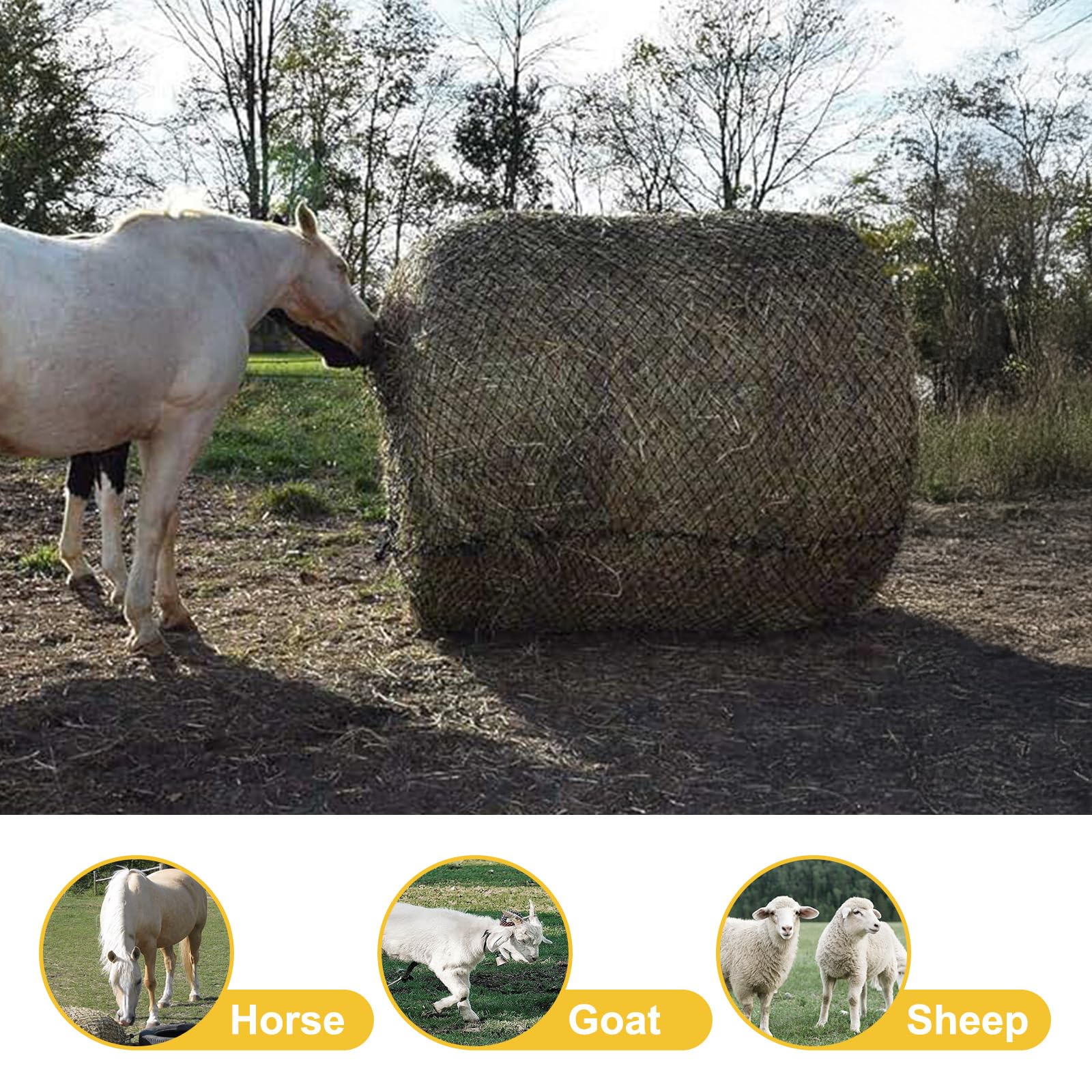 Horses and goats using Kingump hay net for slow feeding