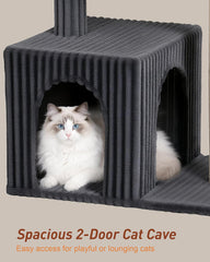 KinoTail 2-door cat condo allows easy entry and exit for curious cats.