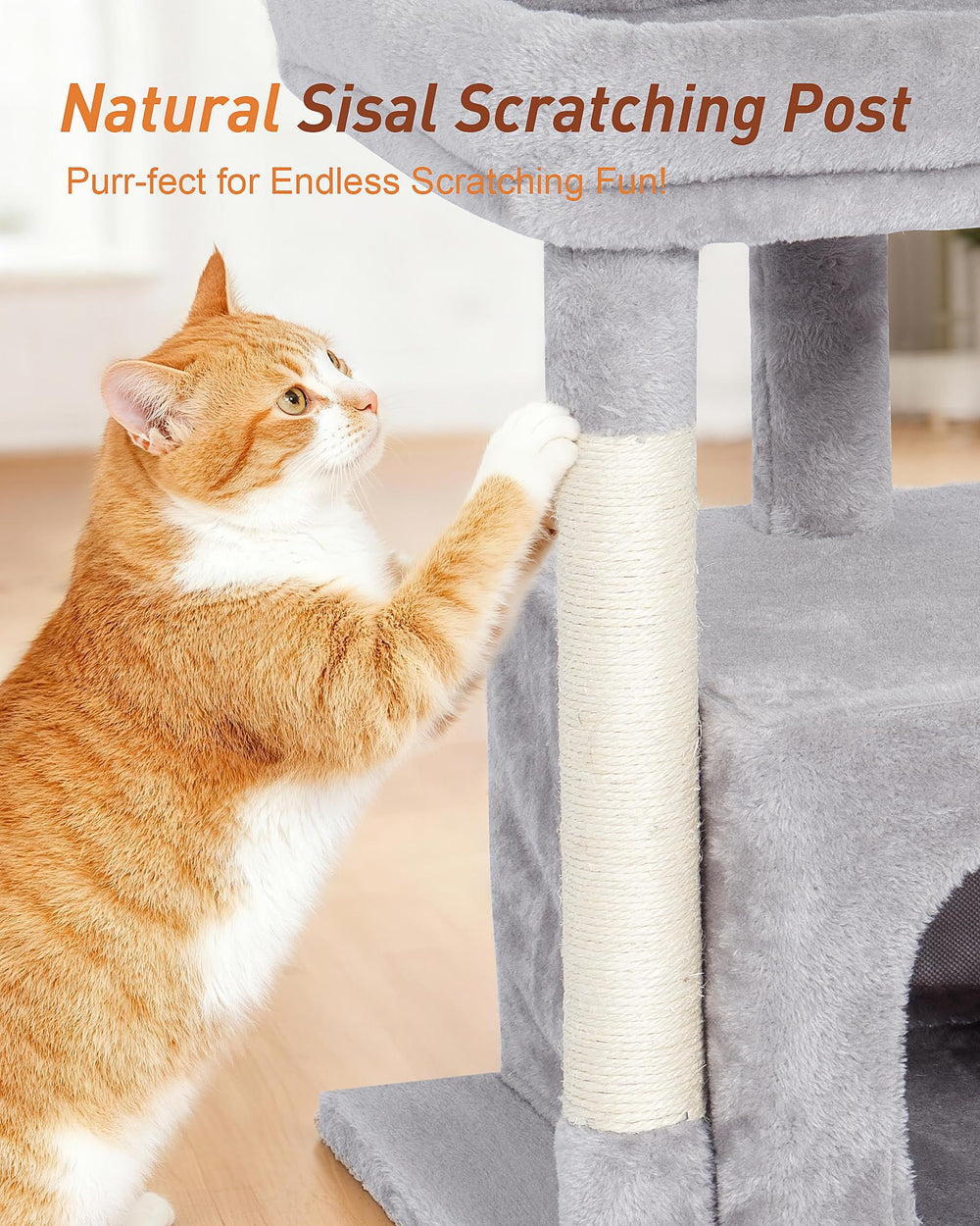 KinoTail cat tree showing 2-door hideout for private feline retreat