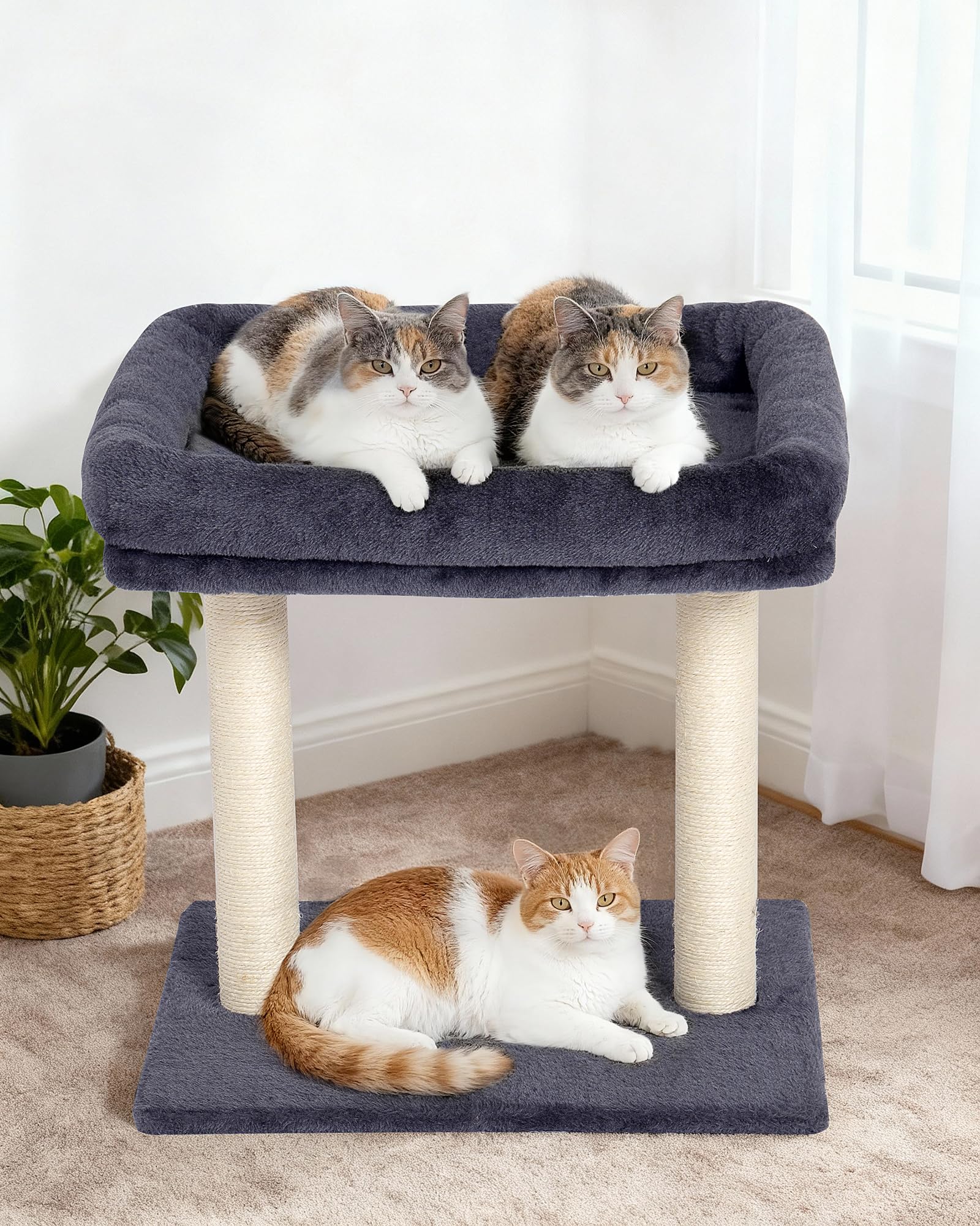 KinoTail cat tree ships with hardware for quick assembly in minutes.