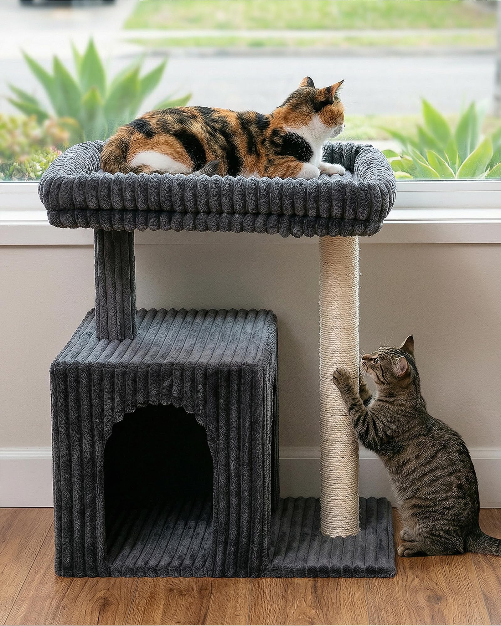 KinoTail compact footprint fits smaller rooms without sacrificing fun.