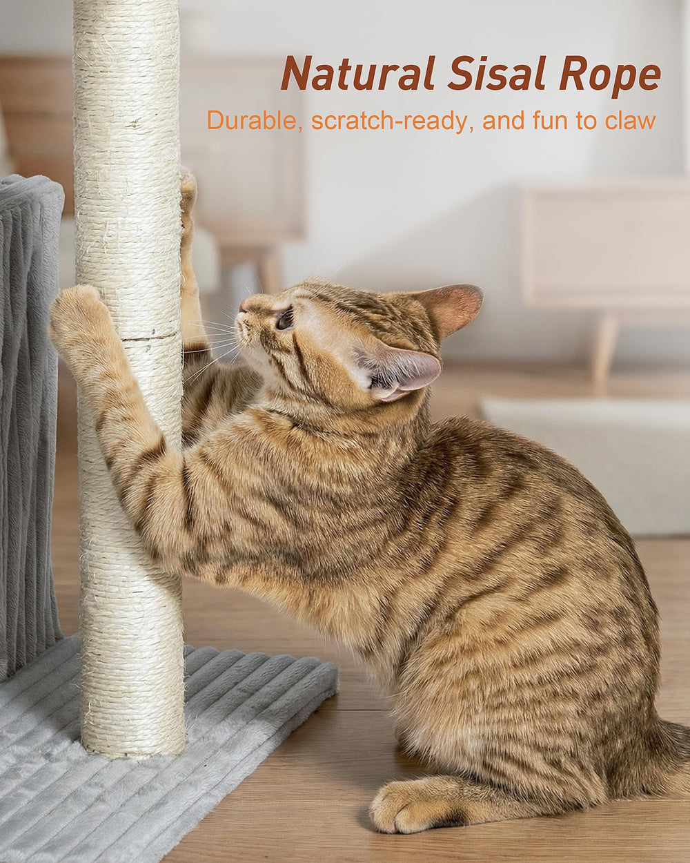 KinoTail cat tree natural-sisal-post keeps claws sharp and sofas safe.