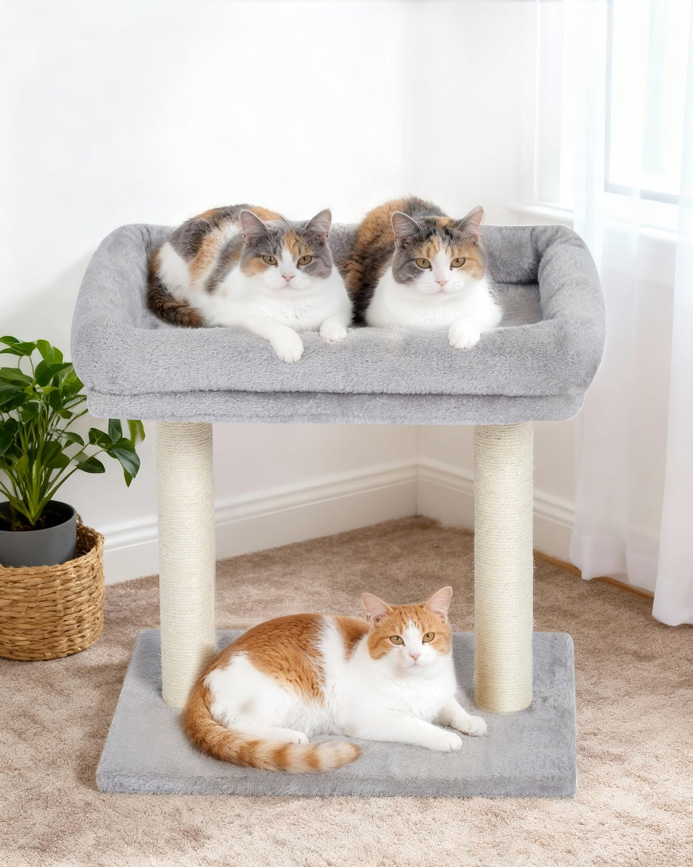 KinoTail cat tree padded top offers cozy lounging during naps.