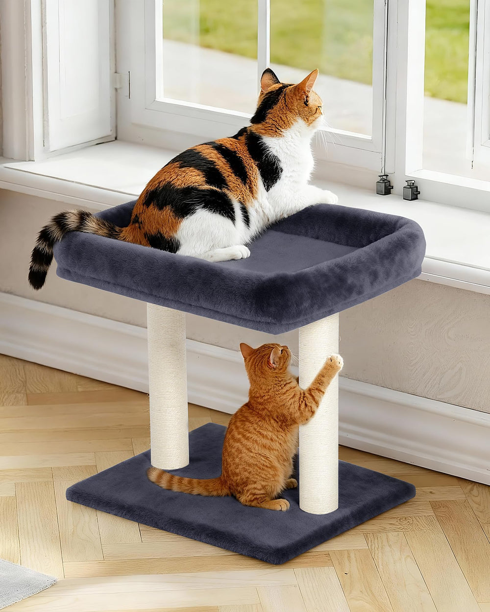 KinoTail cat tree space saving design fits beside a sofa or window.