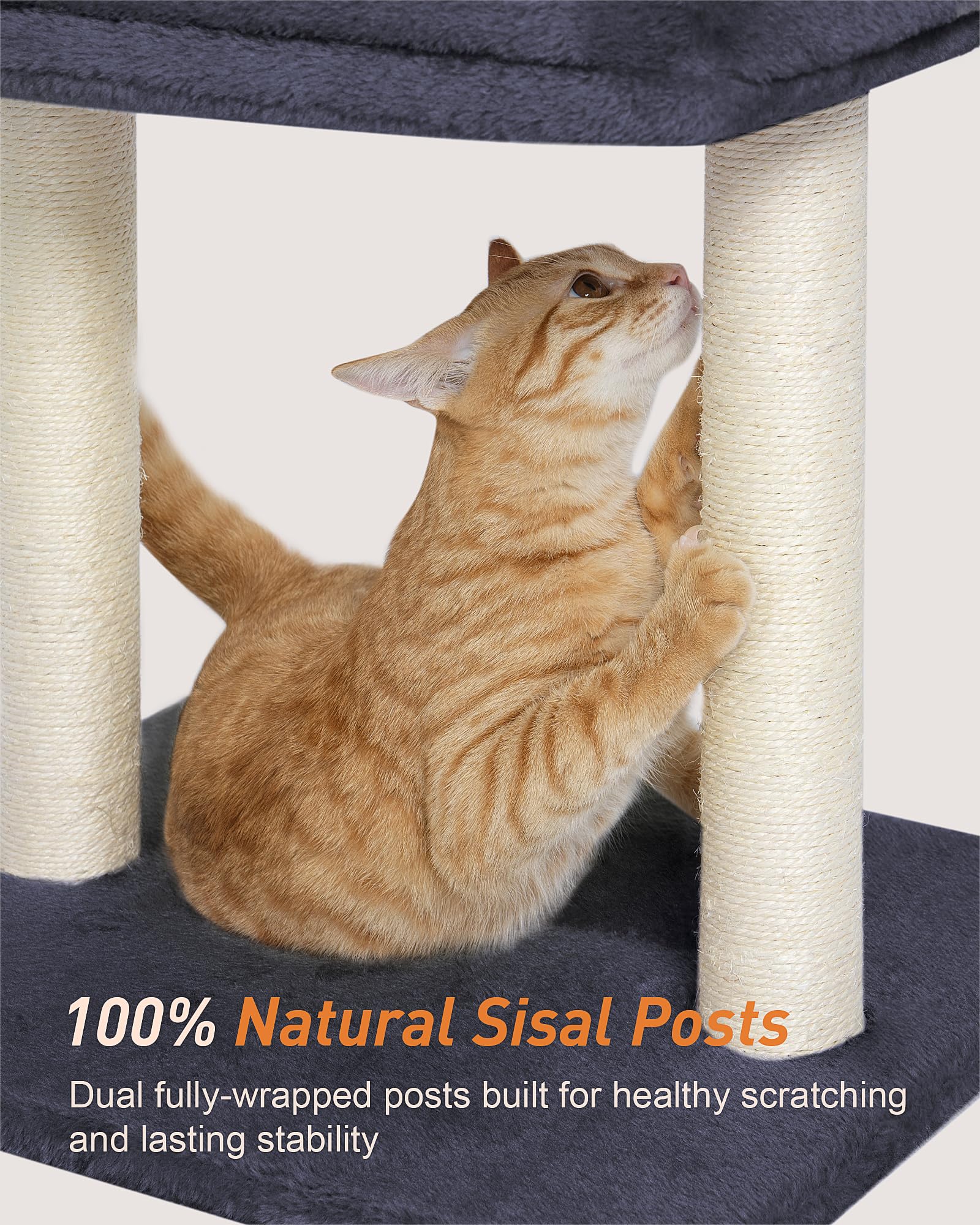 KinoTail cat tree stable base ensures wobble-free play and lounging.