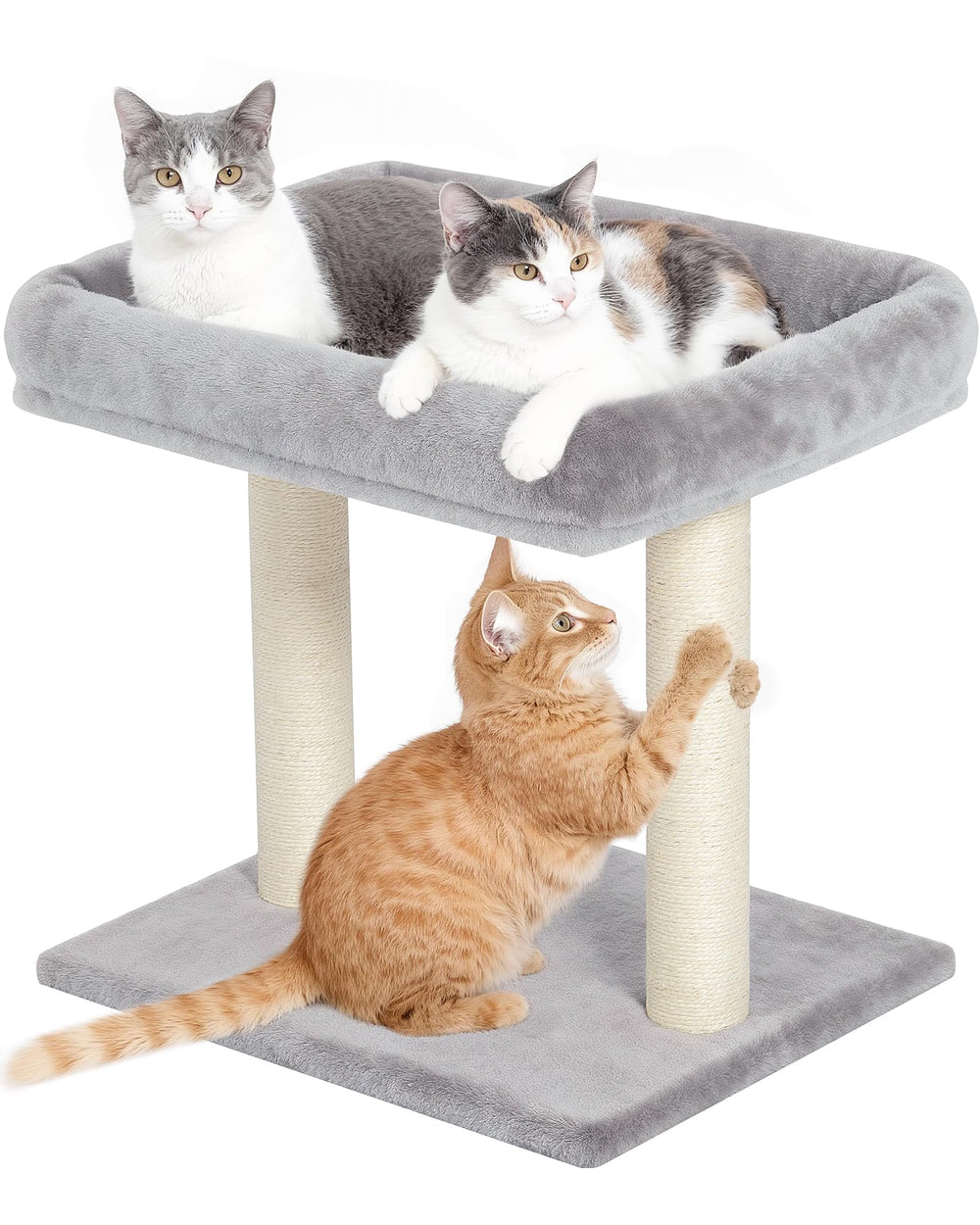 KinoTail cat tree top perch offers spacious lounging for sunlit window watching.