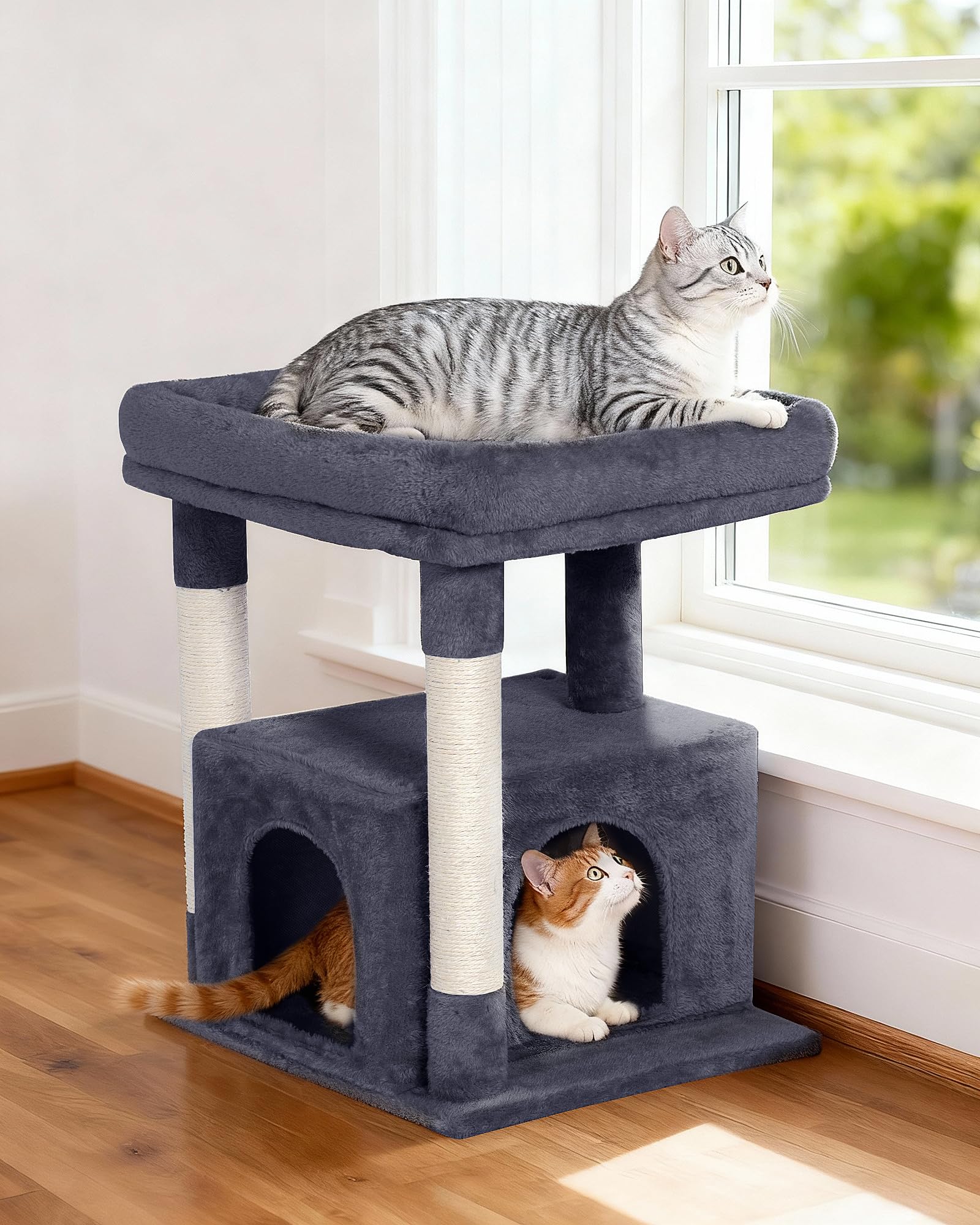 KinoTail plush pad is removable and machine washable