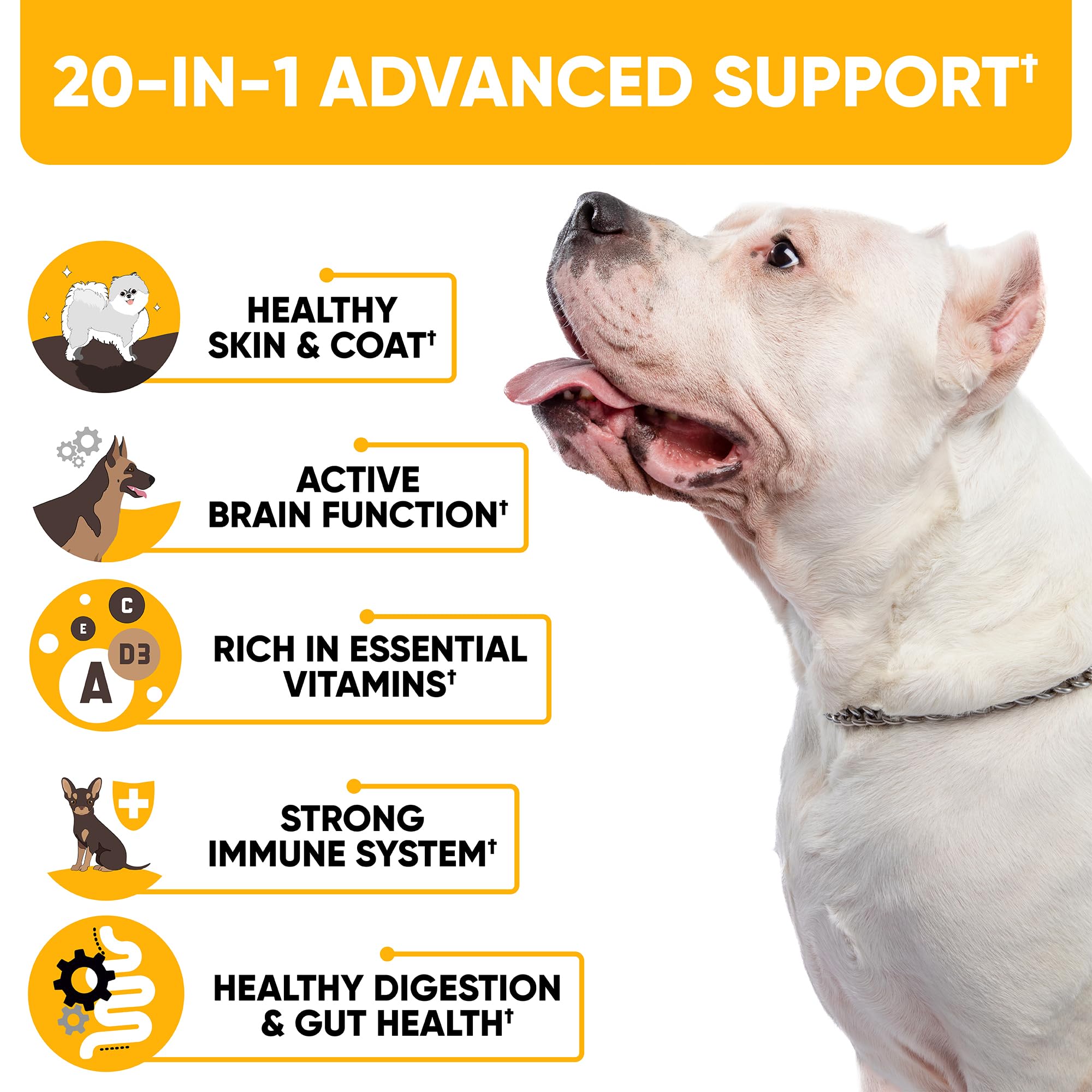 Kinpur Dog Multivitamin Chews digestive enzymes label for gut comfort.