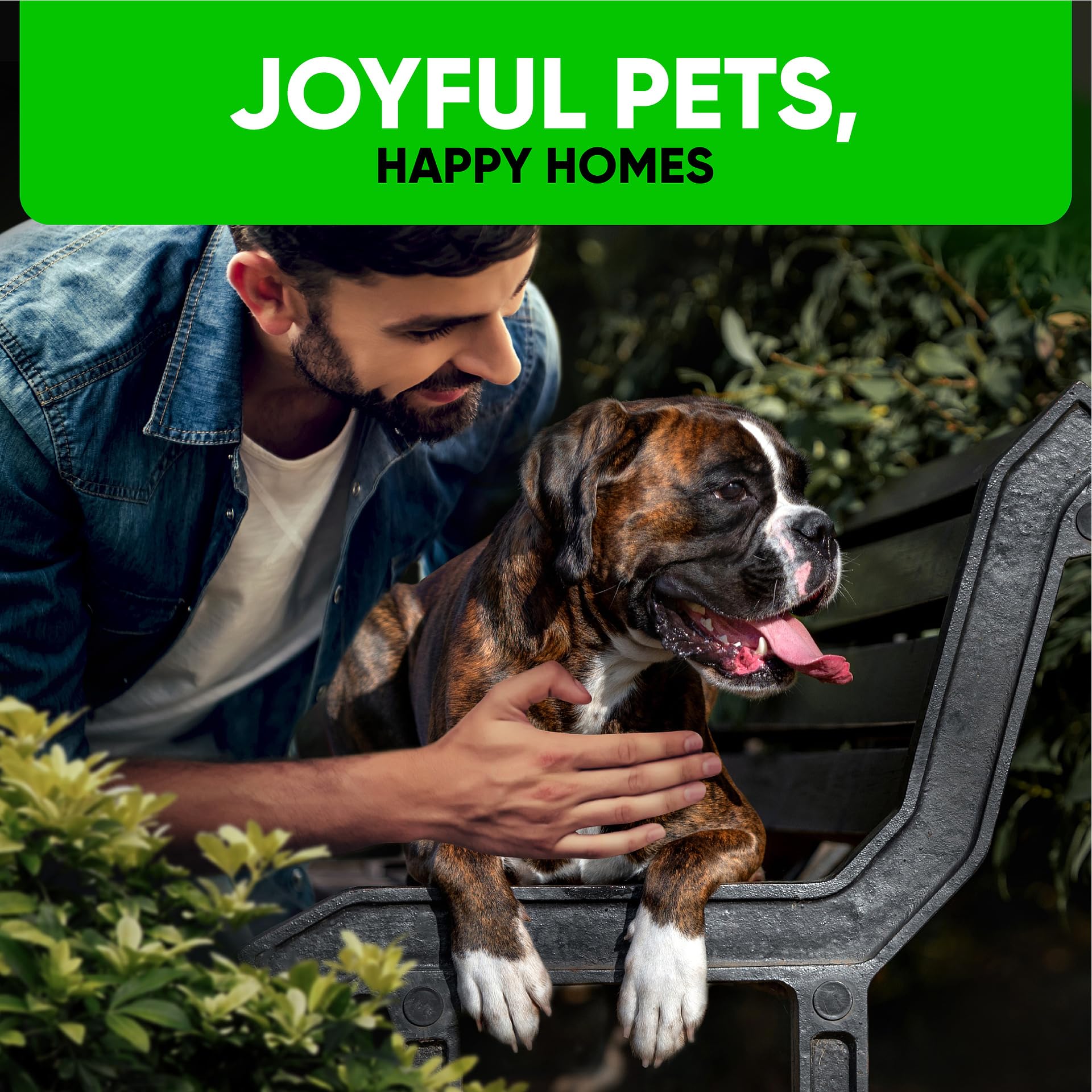 Kinpur dog-on-grass scene conveys lawn-friendly care and everyday playtime.