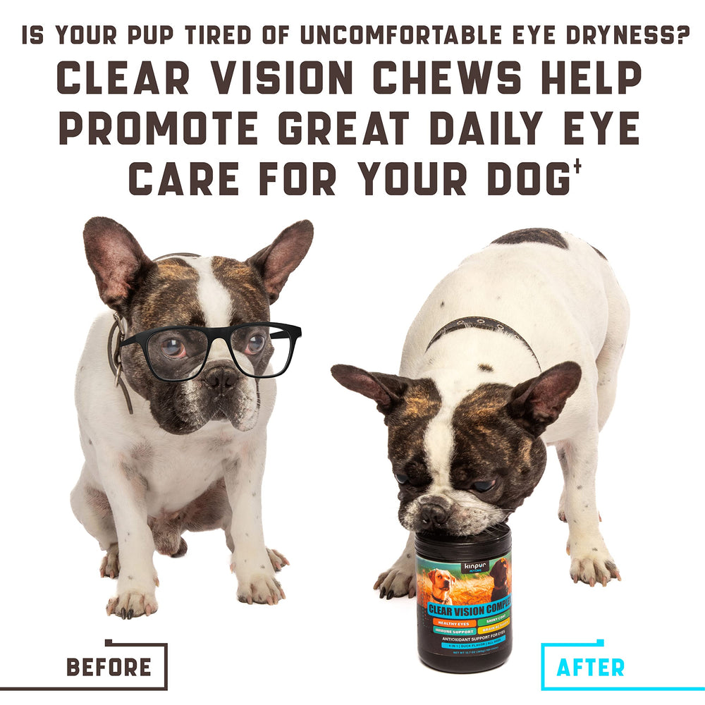 Kinpur Eye Vitamins immune support image hints at glossy coat