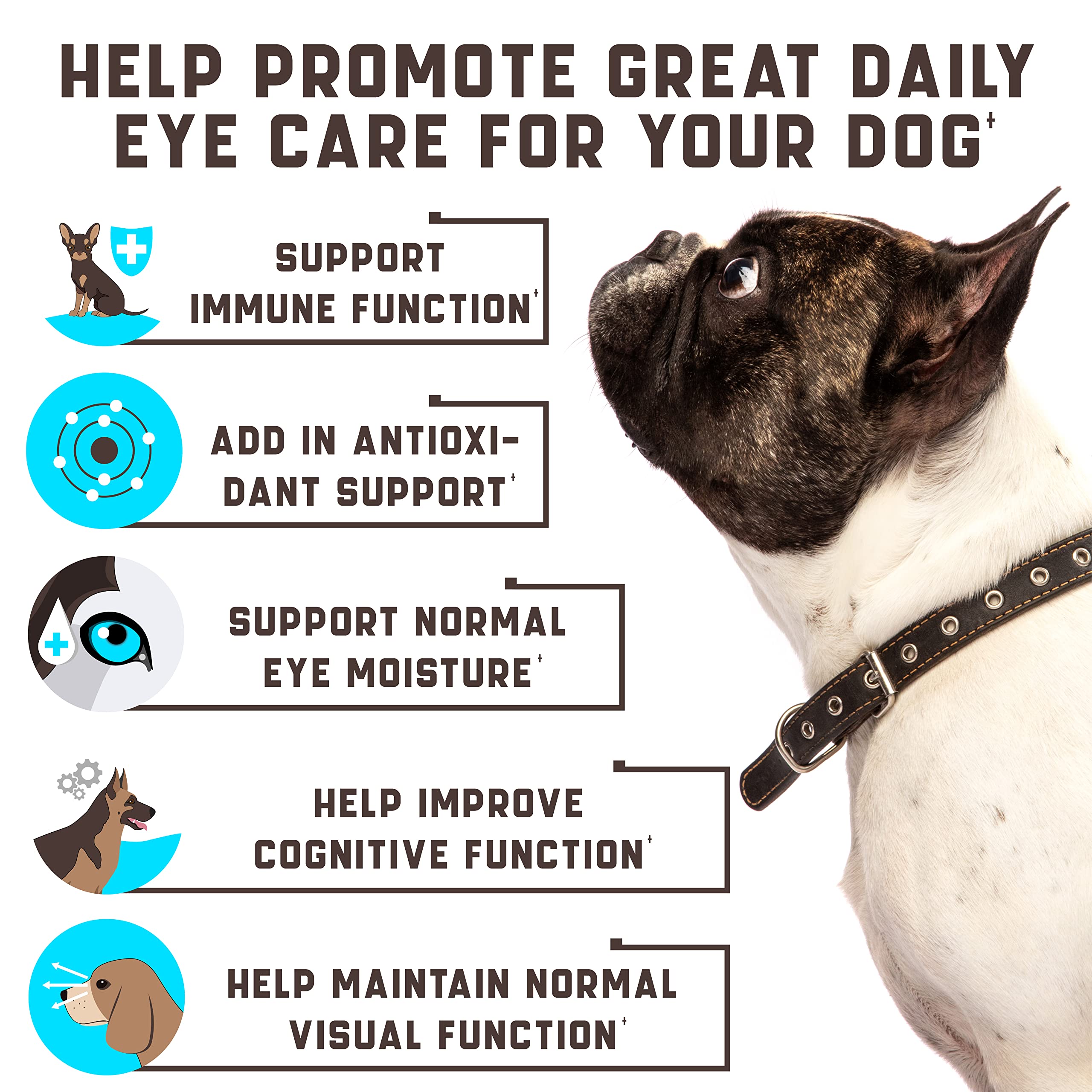Kinpur Eye Vitamins soft chews closeup for easy daily use