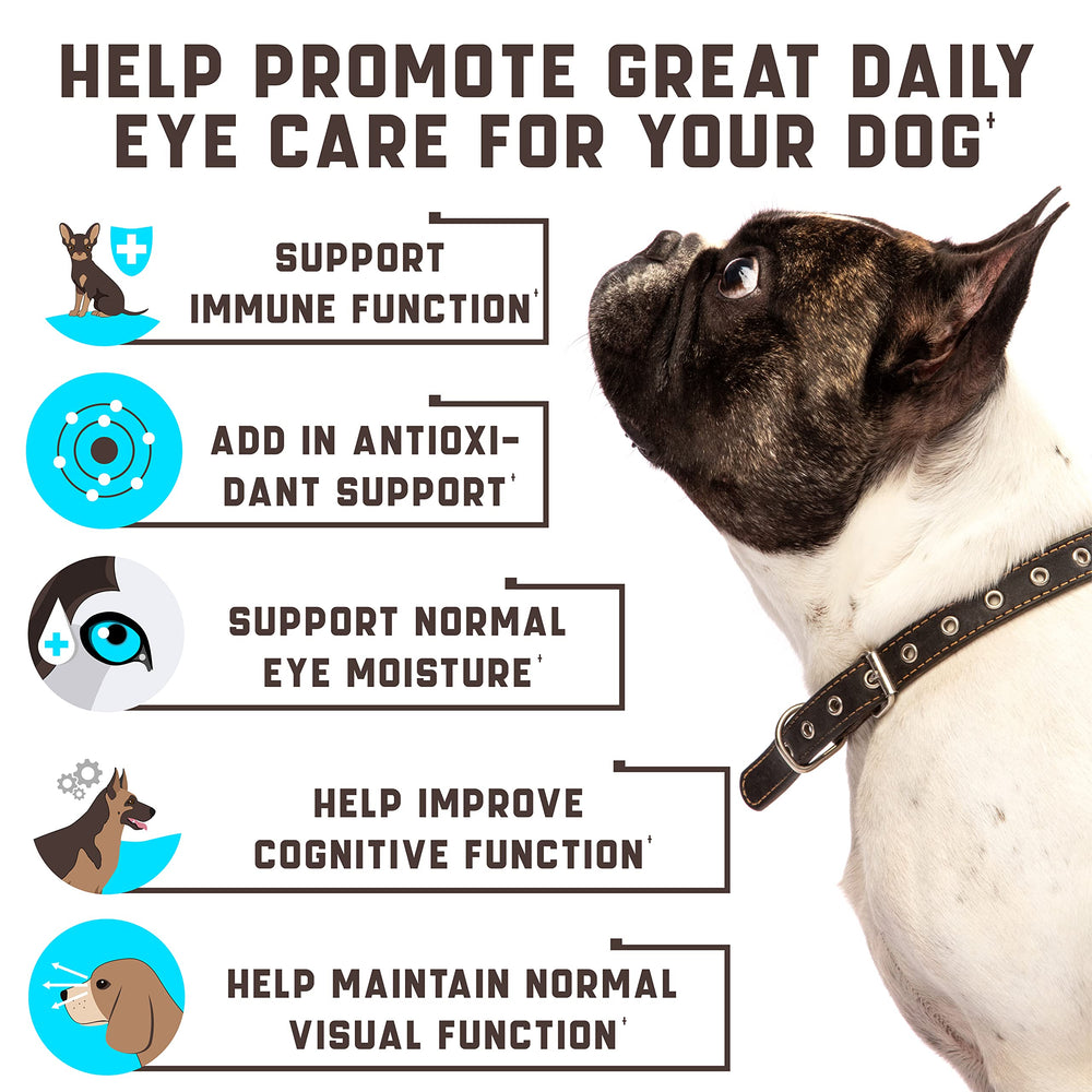Kinpur Eye Vitamins soft chews closeup for easy daily use