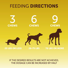 Kinpur No Scoot bottle label emphasizing veterinarian-inspired daily digestive support