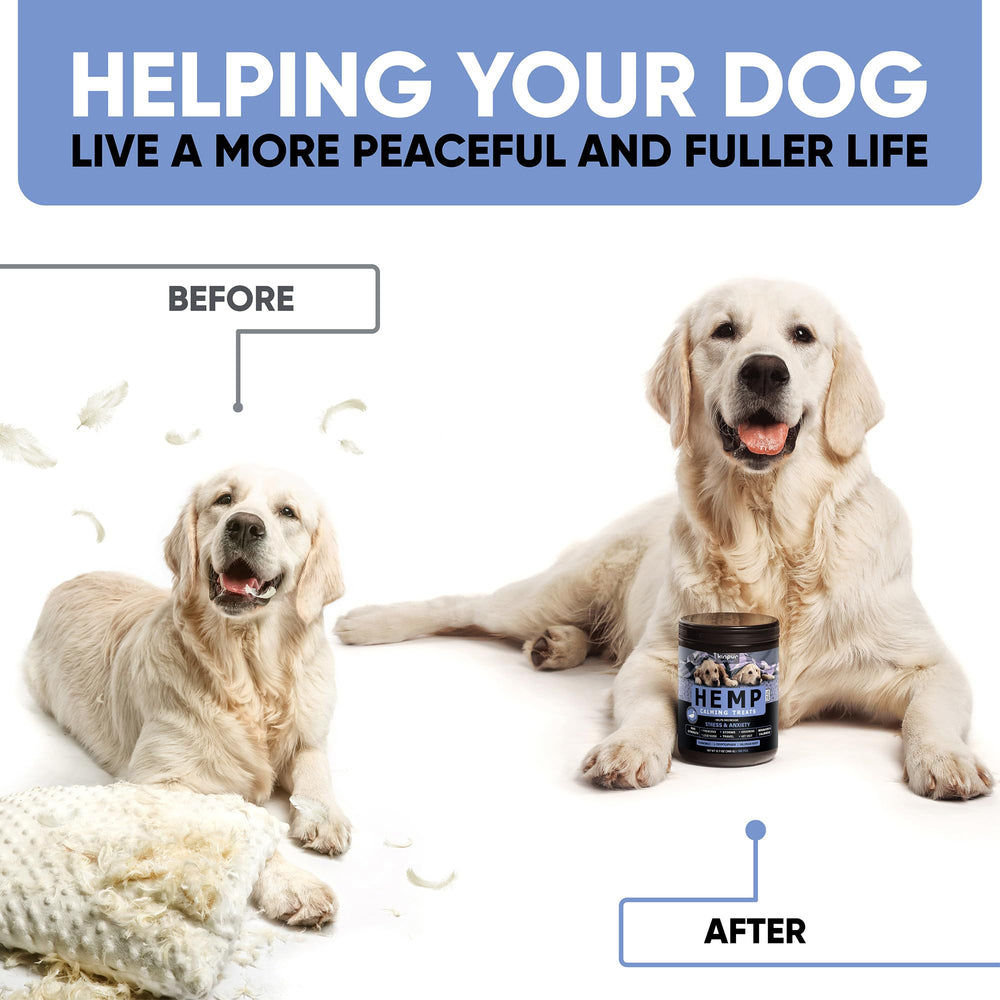 Kinpur calming chews duck flavor jar back shows 180 sugar-free treats.
