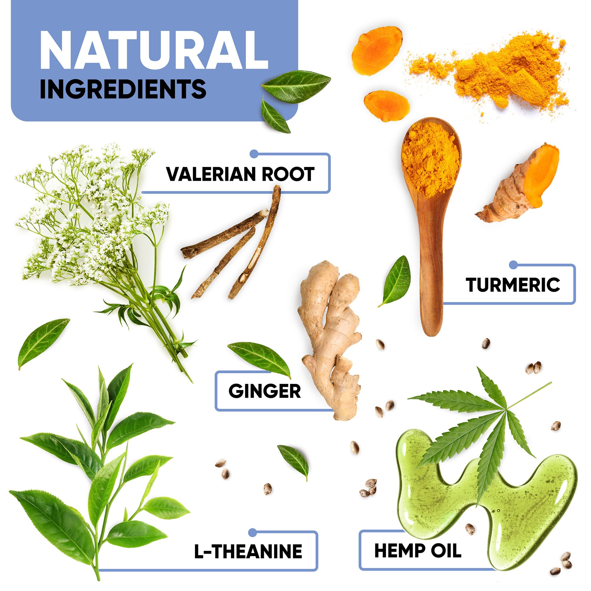 Close-up of hemp and botanicals in Kinpur calming chews ingredients.