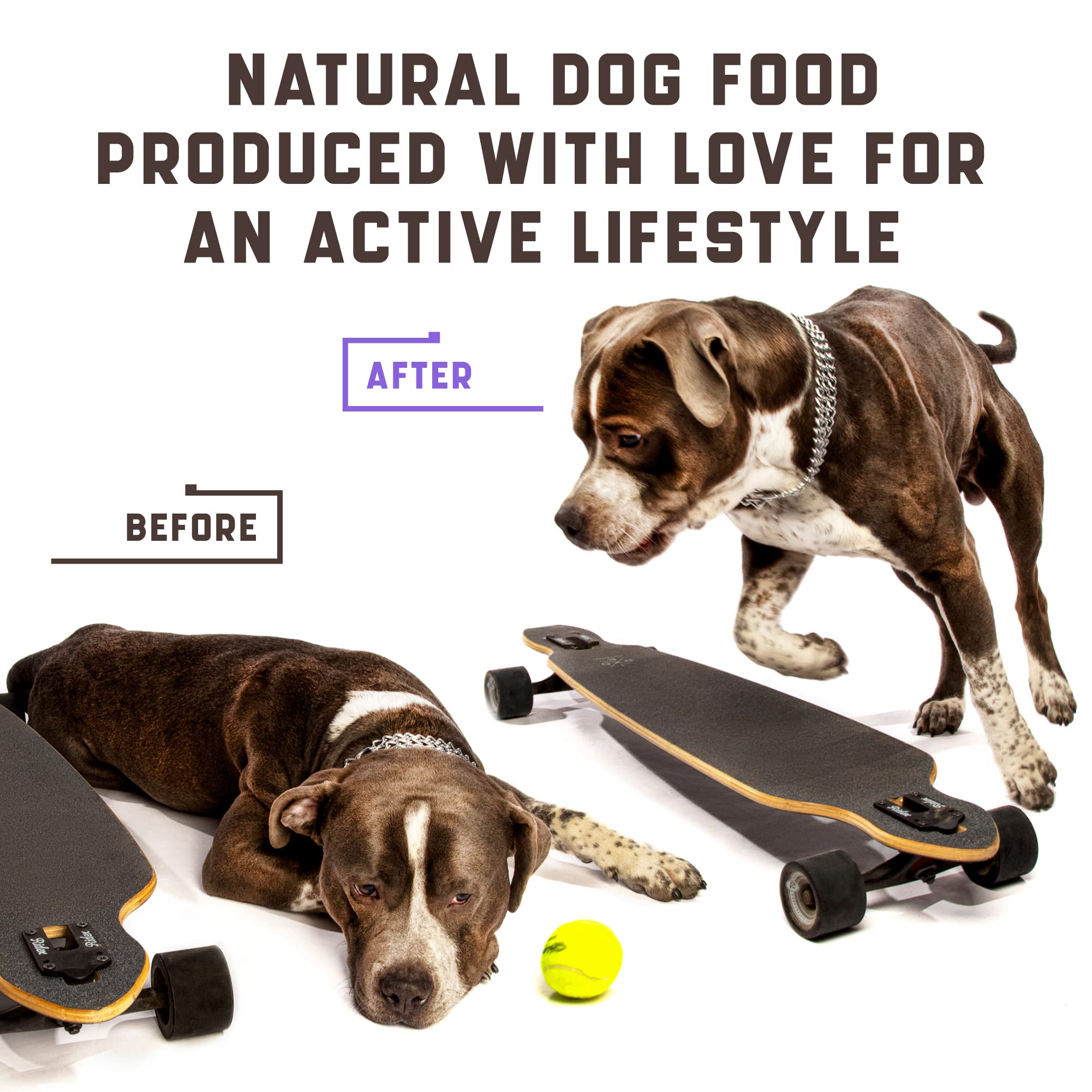 Kinpur Pet Care dog enjoying chew during playtime.