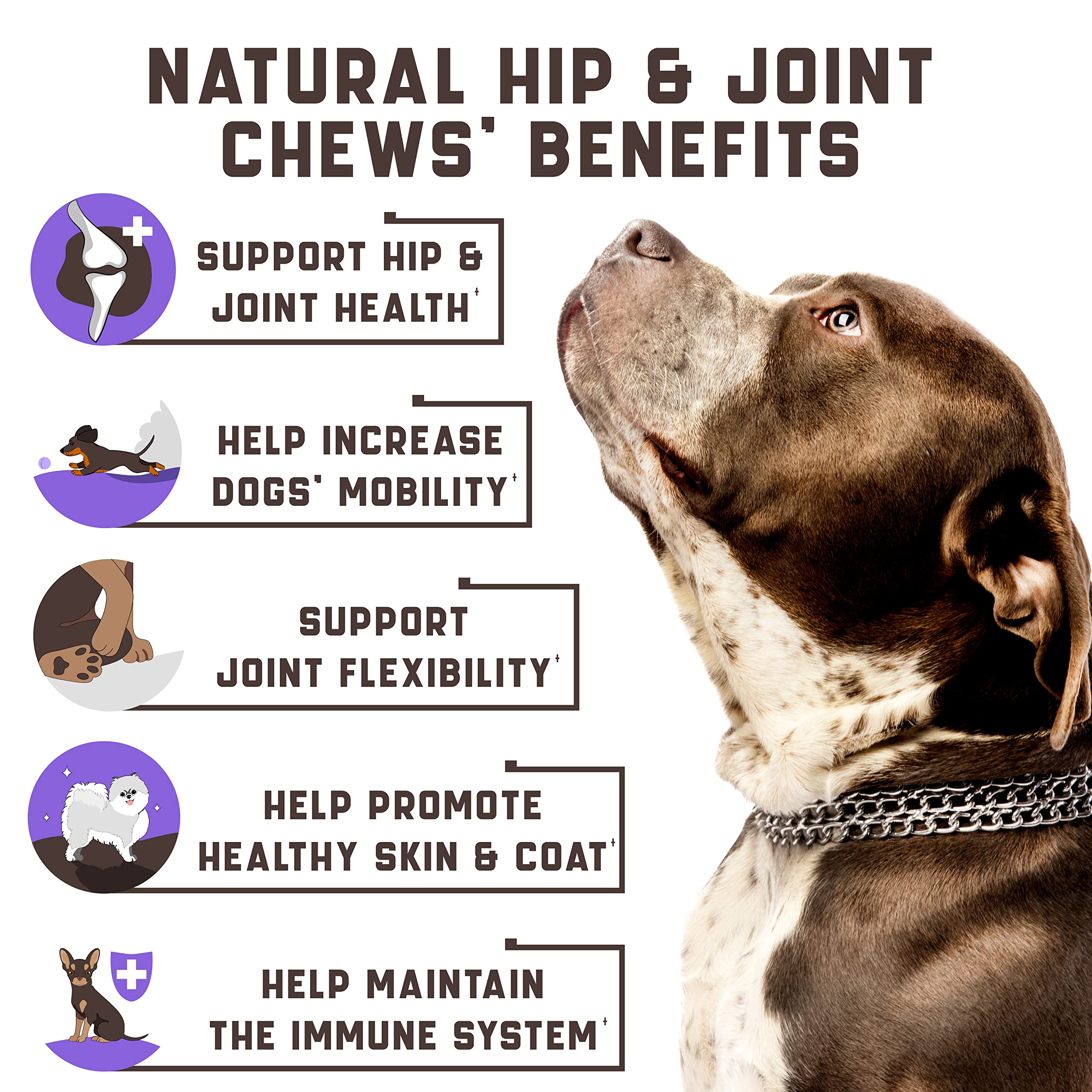 Kinpur Pet Care duck-flavored soft chews close-up, tasty and easy to chew.