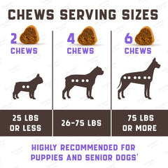 Kinpur Pet Care MSM coat shine detail highlights healthy skin.