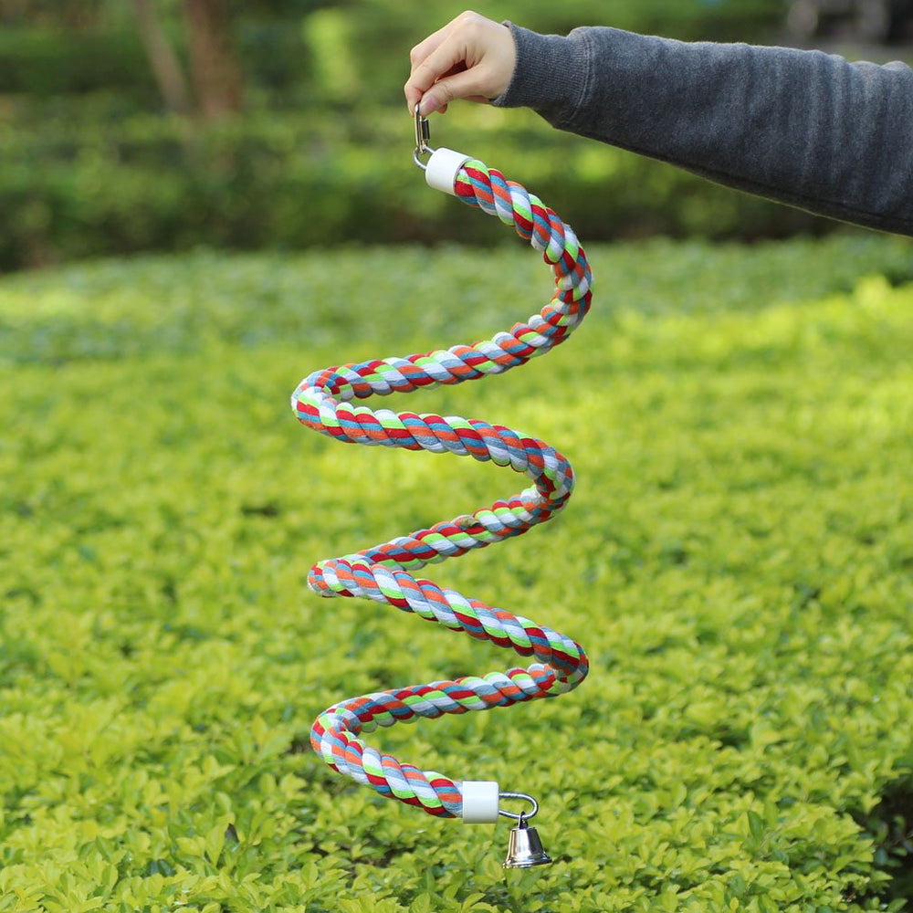 KINTOR rope bungee perch bird climbing scene promoting exercise and balance