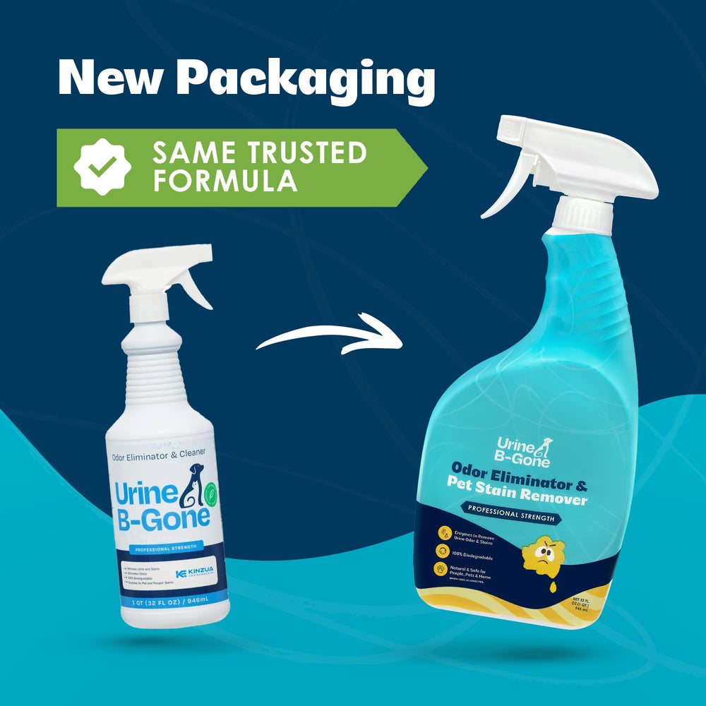 Pouring Urine B-Gone demonstrates easy application for stain removal on carpets.