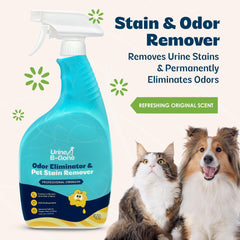 Close-up of label highlights enzymatic formula for effective cleaning.