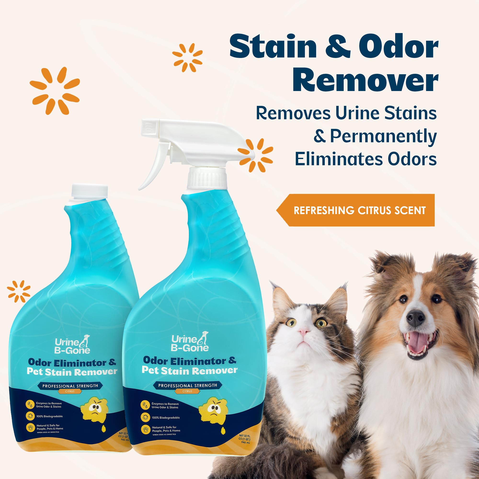Spray action demonstrates deep-clean power on pet stains in upholstery.