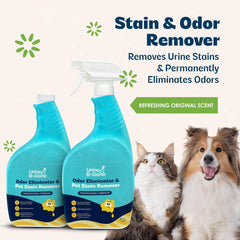 Kinzua Urine B-Gone carpet-application enables deep cleaning of carpets.