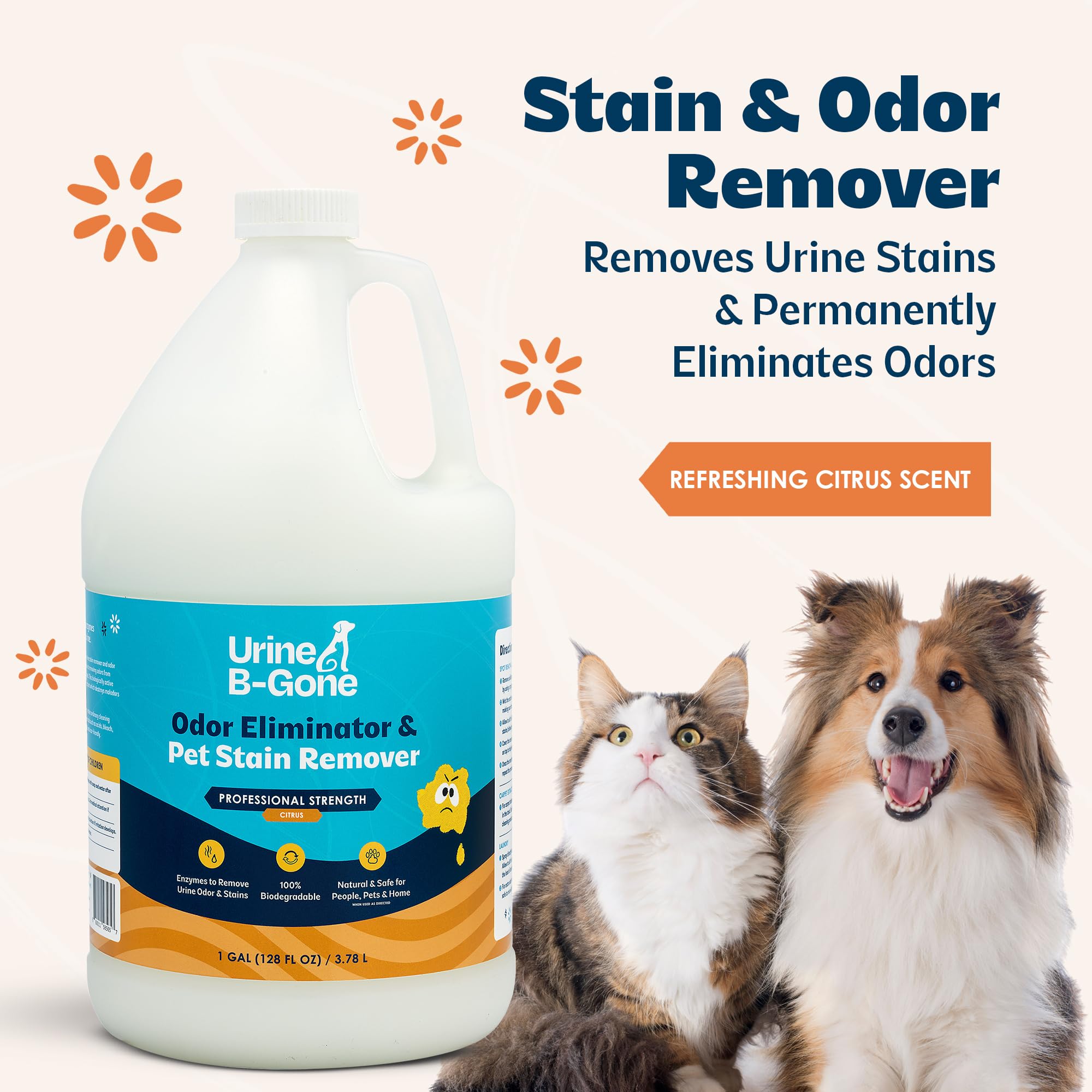 Kinzua Urine B-Gone on carpets removes stains and neutralizes odors at the source