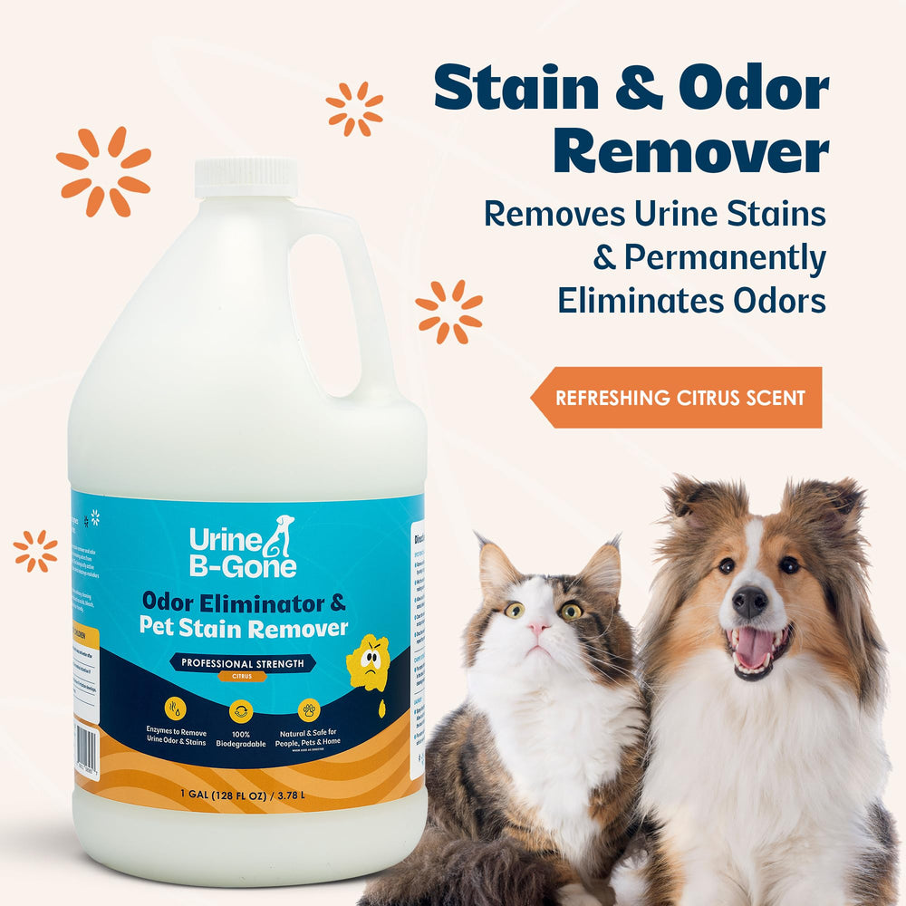 Kinzua Urine B-Gone on carpets removes stains and neutralizes odors at the source