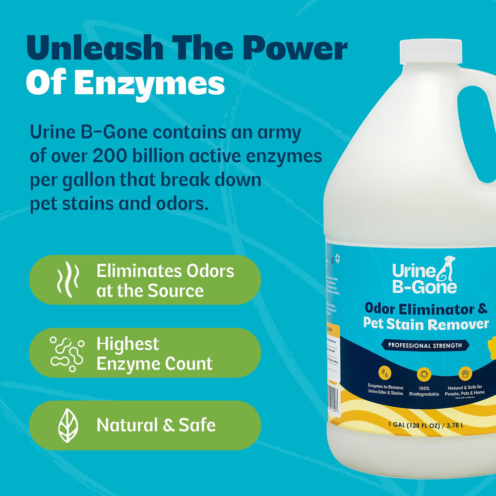 Kinzua Urine B-Gone near drains and toilets for odor control.