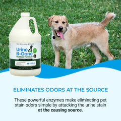Kinzua Urine B-Gone-OD yard spray highlights outdoor deodorizing power.