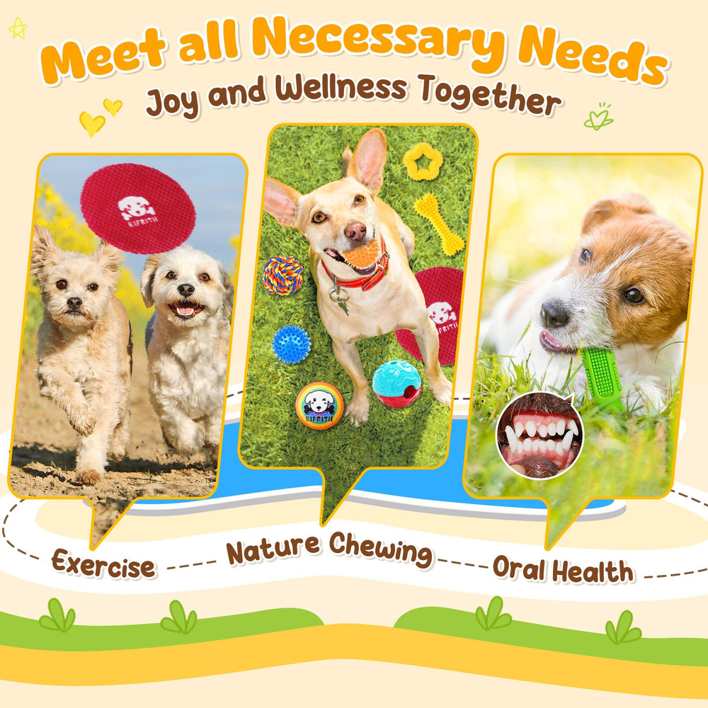 KIPRITII dog toys set with 2 squeaky balls for upbeat play and independent sniffing indoors.