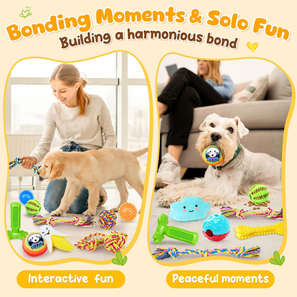 KIPRITII dog toys set with 2 treat-dispensing balls to encourage problem-solving and tasty rewards.