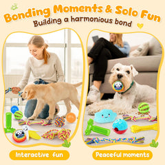 KIPRITII dog toys set with 2 treat-dispensing balls to encourage problem-solving and tasty rewards.