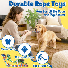 KIPRITII plush squeaky toy 2 offers variety and extended amusement.
