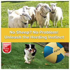 KipSip Herding Ball dual-layer cover offers grip for indoor and outdoor play