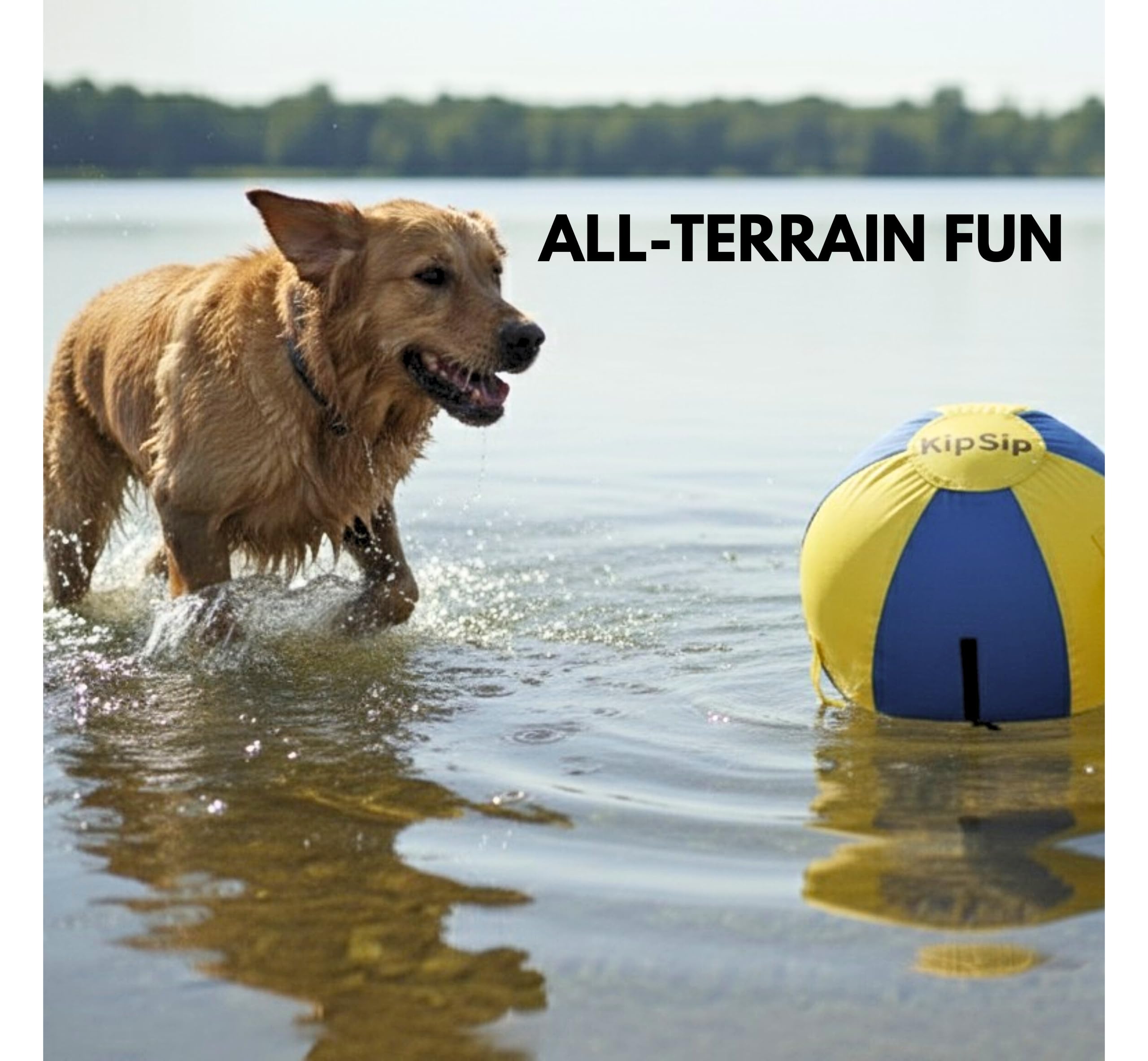 KipSip Herding Ball ideal for indoor outdoor use with large breeds