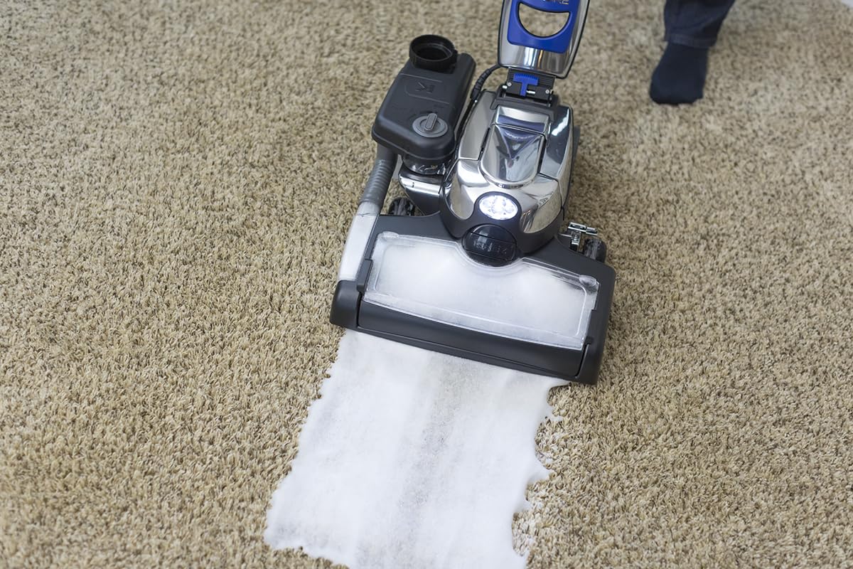 Kirby Pet Stain Remover odor-neutralizing action freshens rooms after accidents.