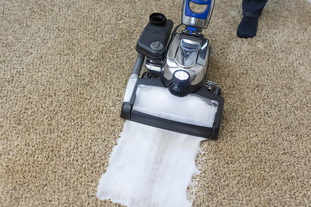 Kirby Pet Stain Remover odor-neutralizing action freshens rooms after accidents.