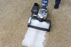 Kirby Pet Stain Remover odor-neutralizing action freshens rooms after accidents.