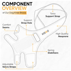 KISAO dog knee brace back view provides secure hind leg support for movement.