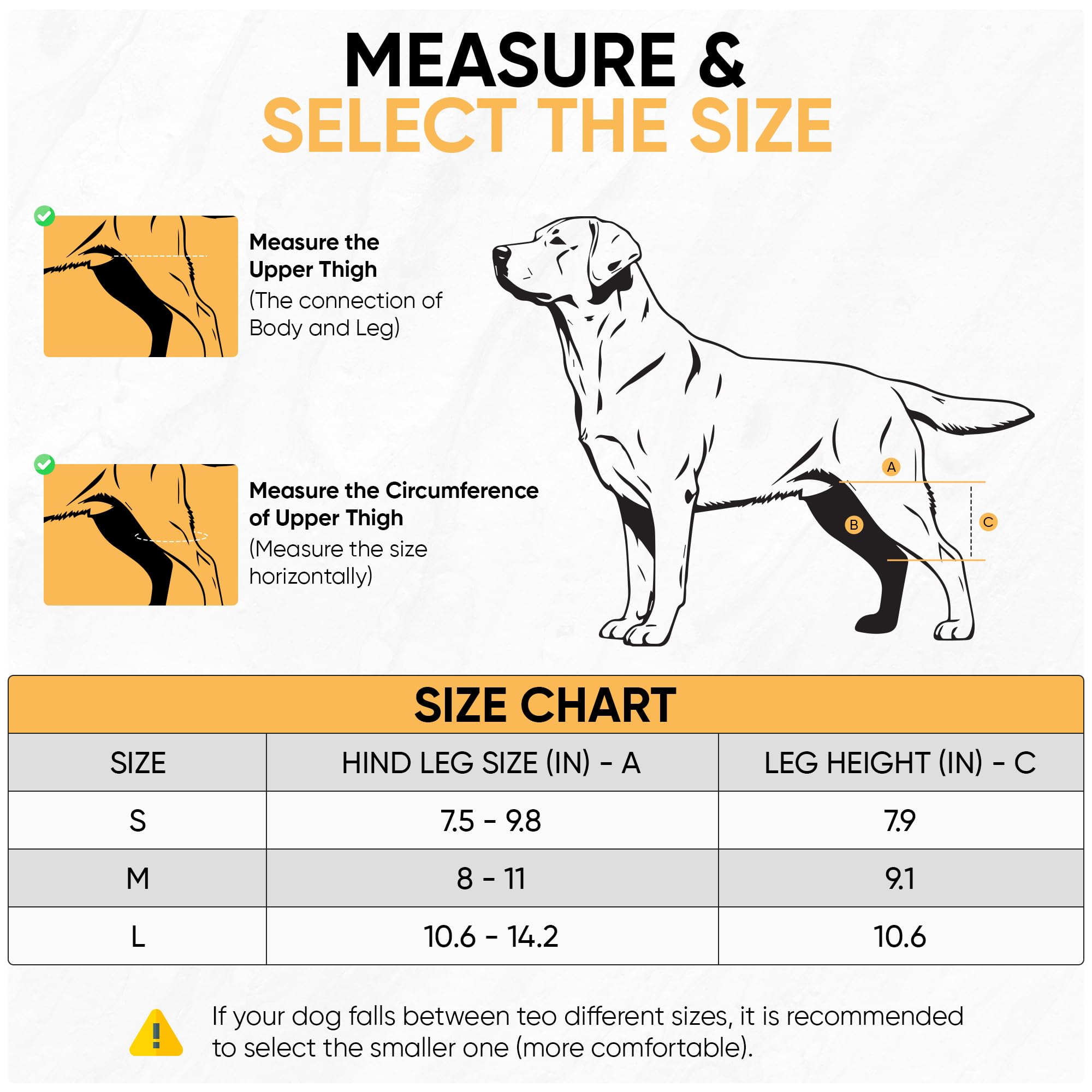 KISAO dog knee brace on left hind leg aids stable walks.