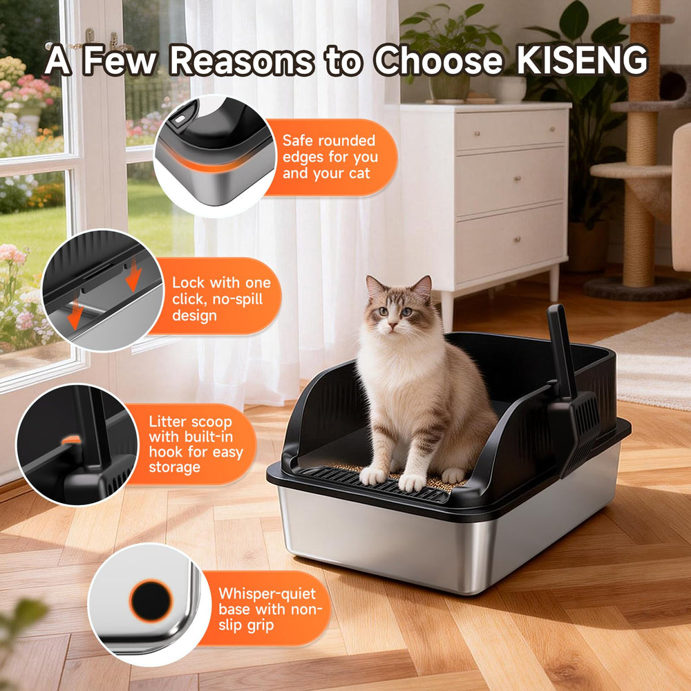 KISENG 37L capacity box offers ample room for larger cats.