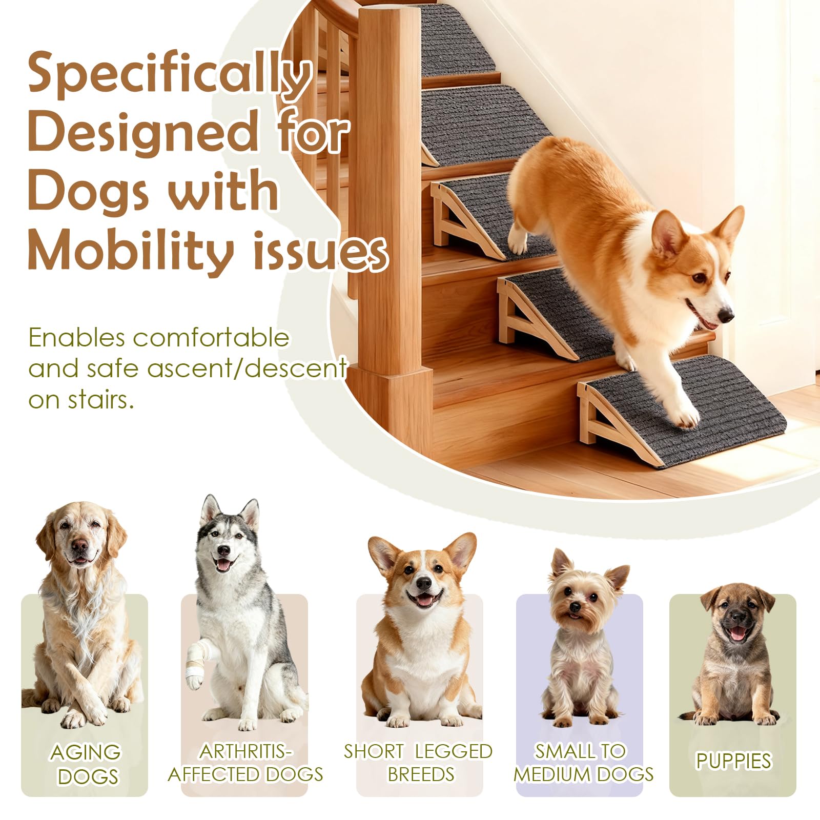 KISIMUY supports up to 170 pounds safely.