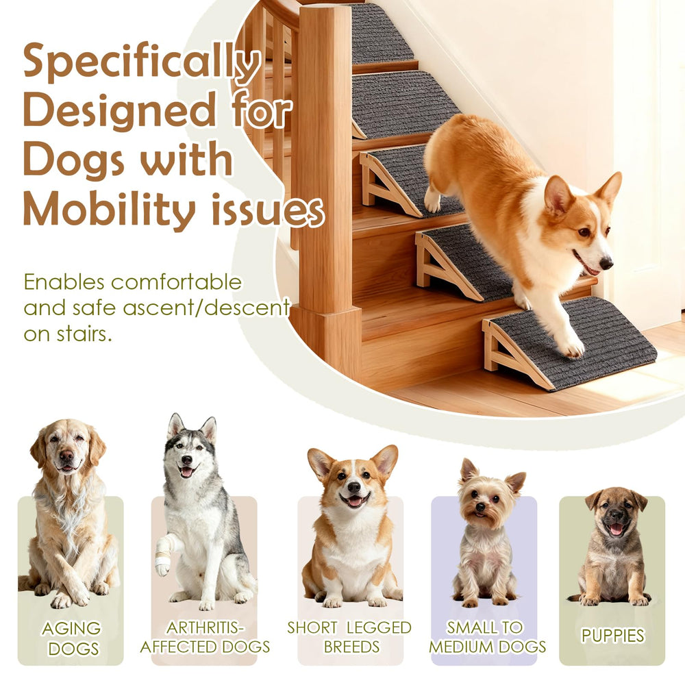KISIMUY supports up to 170 pounds safely.