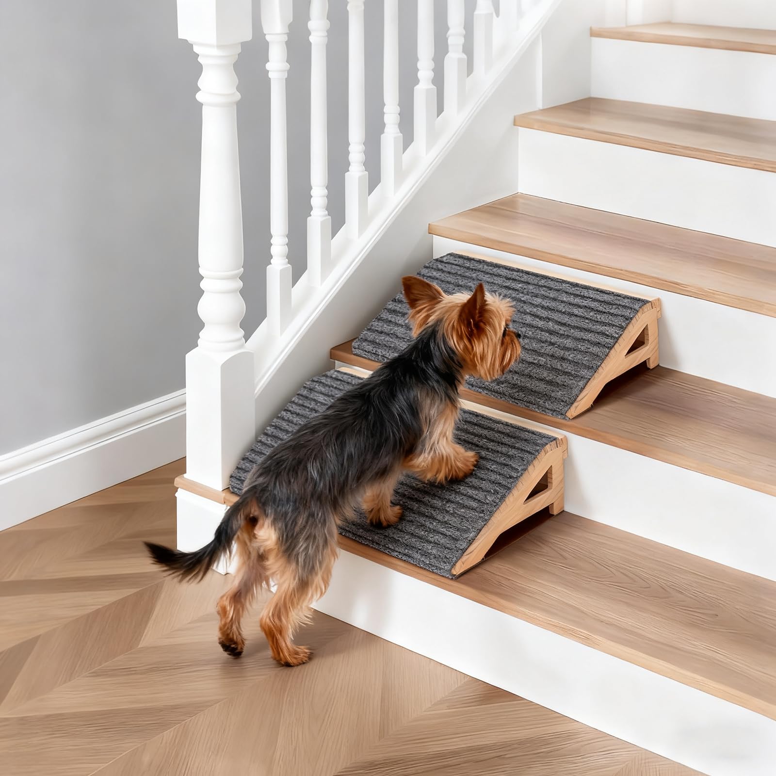 KISIMUY two-pack ramp solution for multiple pets