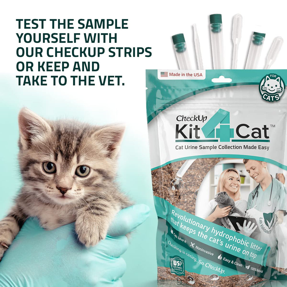 KIT4CAT cat using litter in a calm home setting for sampling.