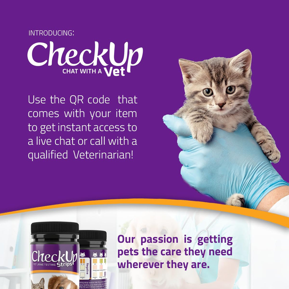 KIT4CAT CheckUp visual results for non-invasive health checks